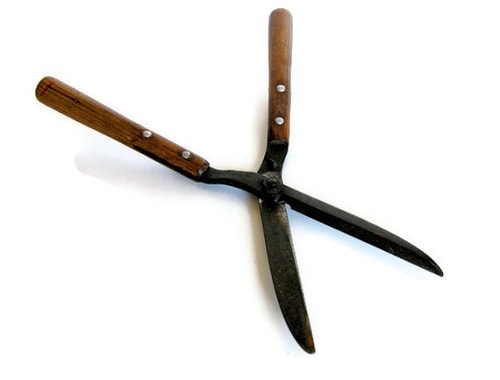 shears  03